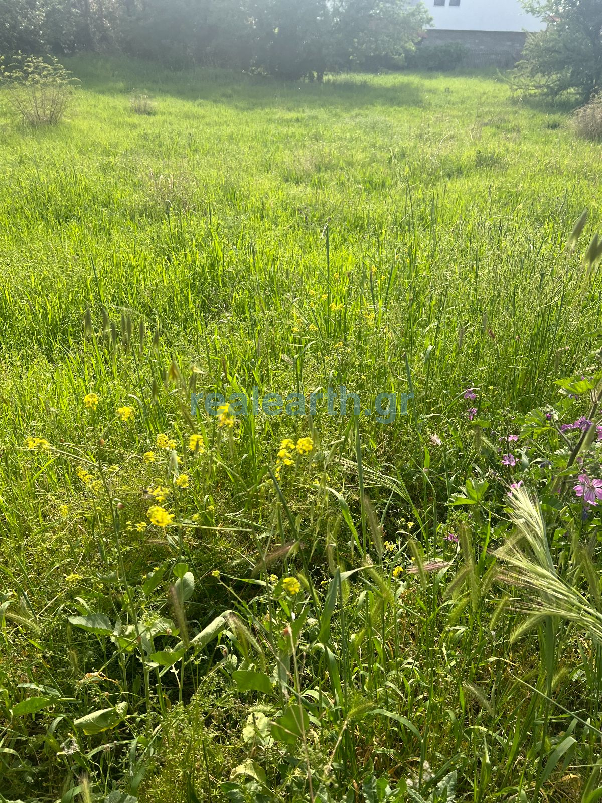 property-img